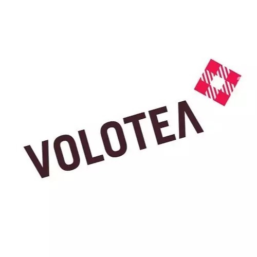 volotea contatti 